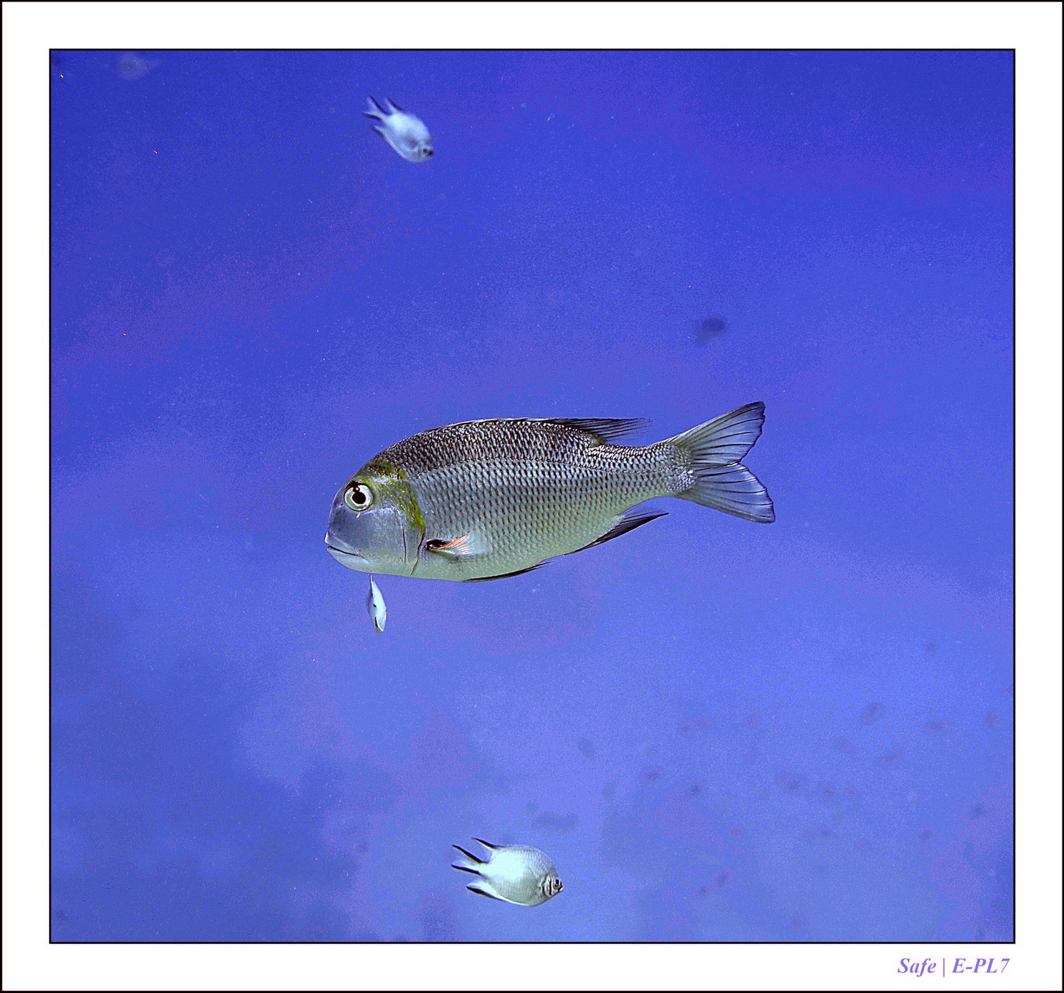 Hurghada - Juillet 2021 - 080